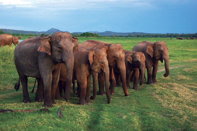 03 Nights in Amazing Sri Lanka - How Packed Is This Schedule, Really?