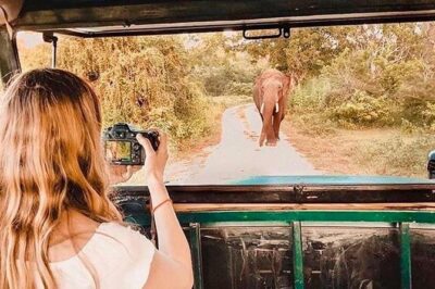 08 - Day Classic Tour with English speaking drive and Private luxury vehicles - Day 2: Polonnaruwa and the real-deal wildlife day