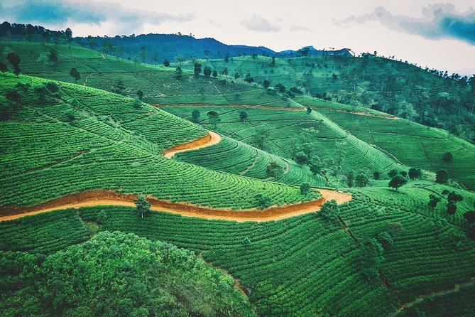 08 Days private round trip in Sri Lanka - The Private 8-Day Route From Negombo (And Why It Matters)