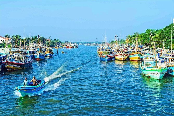 08 Nights in Magical Sri Lanka - Arrival in Negombo: beach time plus a real fish-market morning