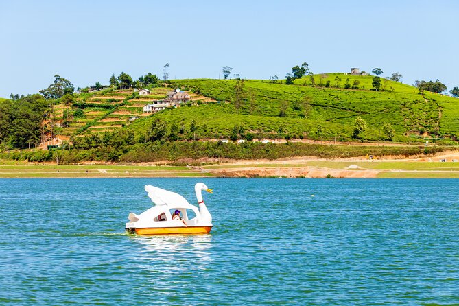 09 Days in Sri lanka - Major Attractions - Yala National Park safari day: wildlife focus, not just scenery
