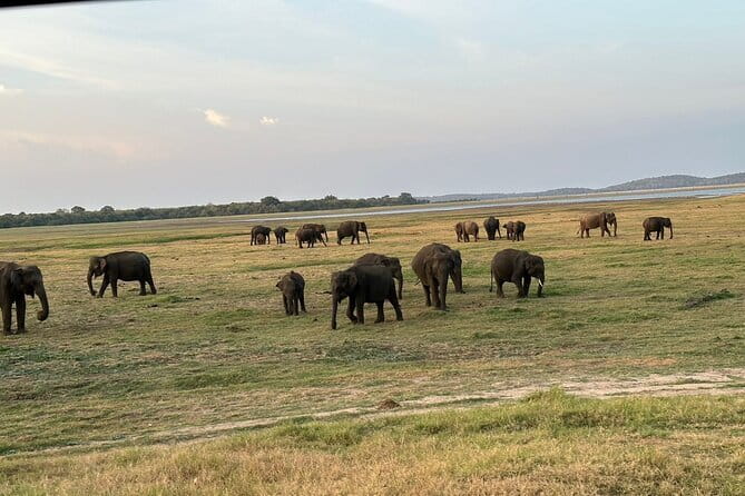 12 Days Tour Grand Discovery of Sri Lanka - Pinnawala elephants, Sigiriya crafts, and climbing the 200-meter rock