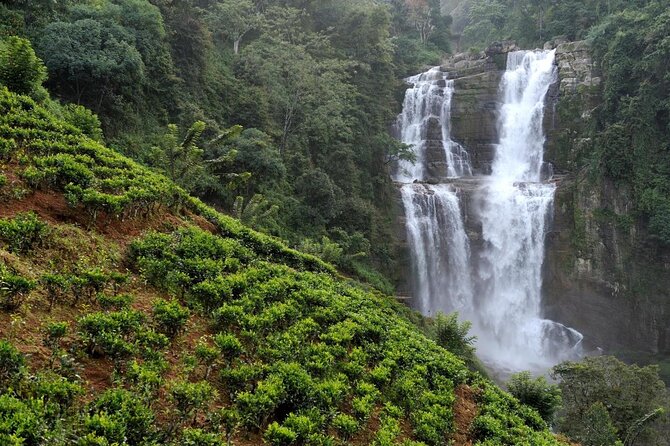 2 Day Tour of Yala & Ella with Hill Country Scenic Train Ride - All Inclusive - Key highlights you’ll feel right away