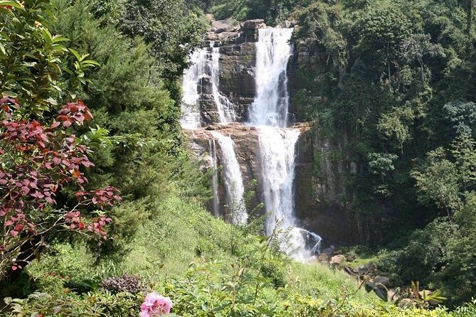 2 Day Tour of Yala & Ella with Hill Country Scenic Train Ride - All Inclusive - Tea plantation and factory at Kelliebedde: learn how tea gets made