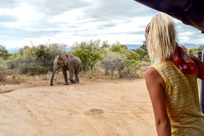 2 Days Tour of Double Safari (Yala & Udawalawe) - All Inclusive - Price and Value: What You’re Really Paying For at $375