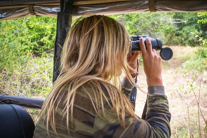 2 Nights All Inclusive Treehouse Safari in Yala with transfers - Yala at Dusk: First Game Drive, Then Camp Comfort