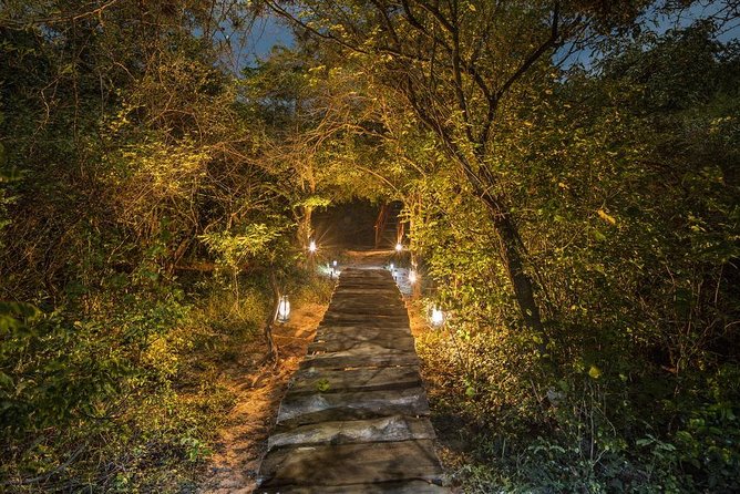 2 Nights All Inclusive Treehouse Safari in Yala with transfers - Yala at Dawn: Best Light, Fruit Juice, and One More Drive