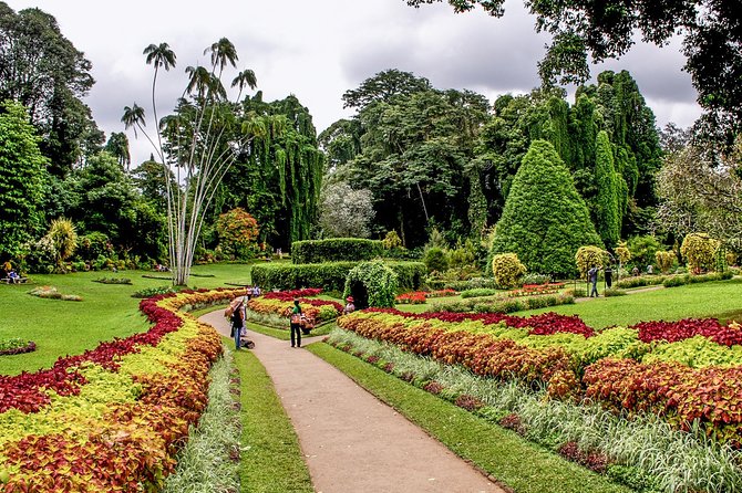 3 Days Tour to Kandy, Nuwara Eliya & Sigiriya - Day 2 Nuwara Eliya Hill Country: Misty Views and Tea-Plantation Time