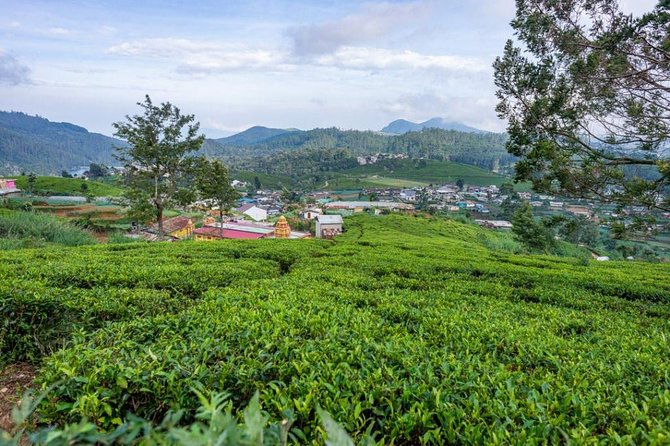 3 Days Tour to Kandy, Nuwara Eliya & Sigiriya - Hakgala Botanical Garden: One Hour for Big Mountain-Air Contrast