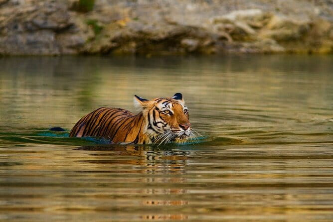 5 Day Sri Lanka Tour : Including Temple of Tooth & Sigiriya Trip - Bentota beach, turtle conservation, and a mangrove river safari