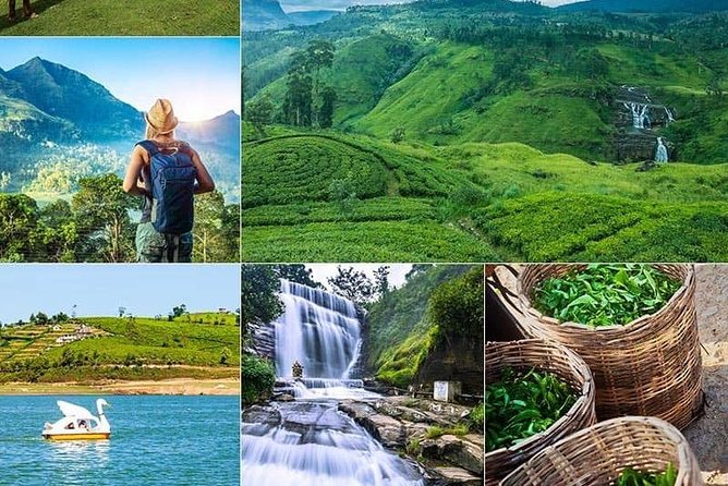 5 DAYS BUDGET TOUR package in Sri Lanka - Getting Going From Negombo: The Pickup, Vehicle, and Your 7:00 am Head Start