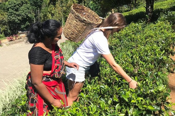 5 Days Tour in Sri Lanka (Hotels with Breakfast & Luxury Car) - Day 4 on the south coast: Dondra lighthouse, Mirissa, Rumassala, and Galle Fort
