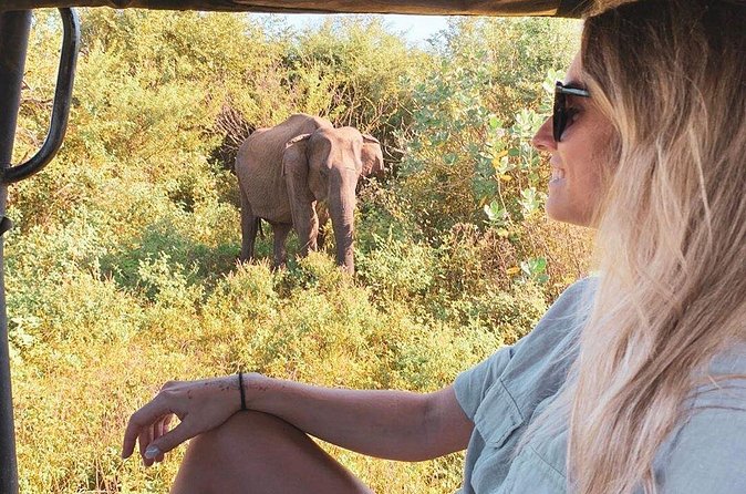 7 Days Tour in Sri Lanka Hotels with Breakfast and Luxury Car - South coast wind-down: Galle Fort, Hikkaduwa, Madu River, and turtles