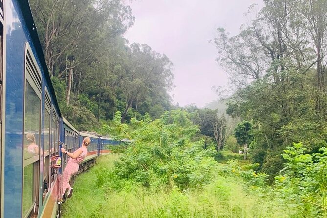 8 Day Private Sri Lanka Tour with Chauffeur - Day 6: Yala National Park Jeep Safari and the Galle Fort Finish