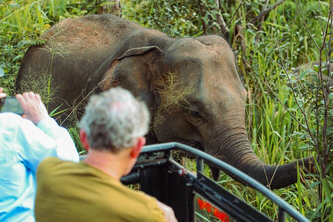 8 Day Private Sri Lanka Tour with Chauffeur - Day 1: Marawila Airport Arrival to Suriya Resort Kammala (Waikkal)