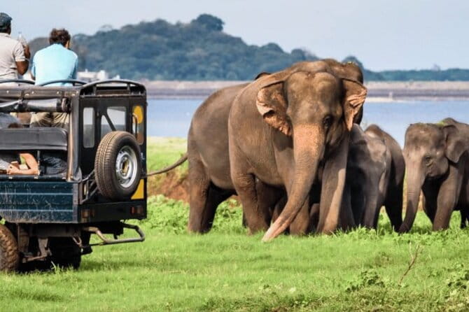 9 Days Guided Tour Through Sri Lanka - Sigiriya Lion Rock, Bullock Cart at Hiriwadunna, and Polonnaruwa