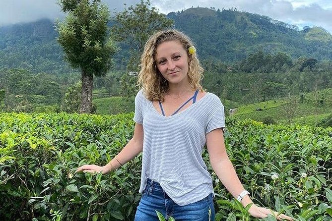 Air port Pick up and Drop to Kandy - Price and value: is $70 per group fair?