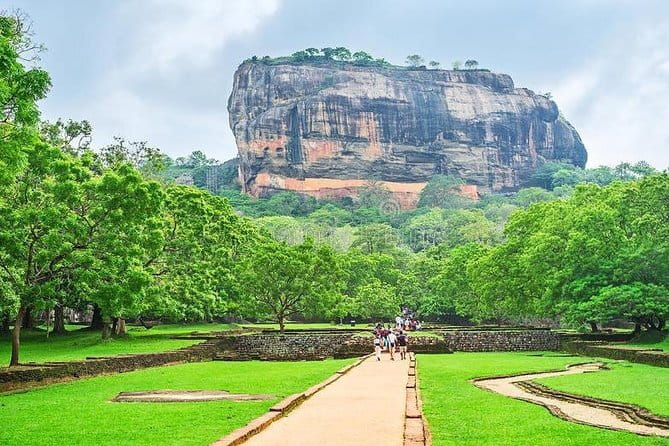 Airport Pick-up from Colombo Airport to Kandy - The Drive to Kandy: Direct Transfer vs. Tea and Sightseeing Stops