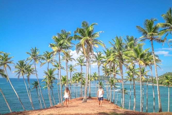 Airport Taxi Transfers from Colombo Airport to Mirissa - Key Things That Make This Transfer Worth It