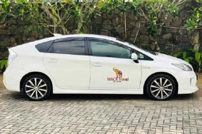 Airport Taxi Transfers from Colombo Airport to Sigiriya - Meet-and-greet at Bandaranaike: the fast handoff you want