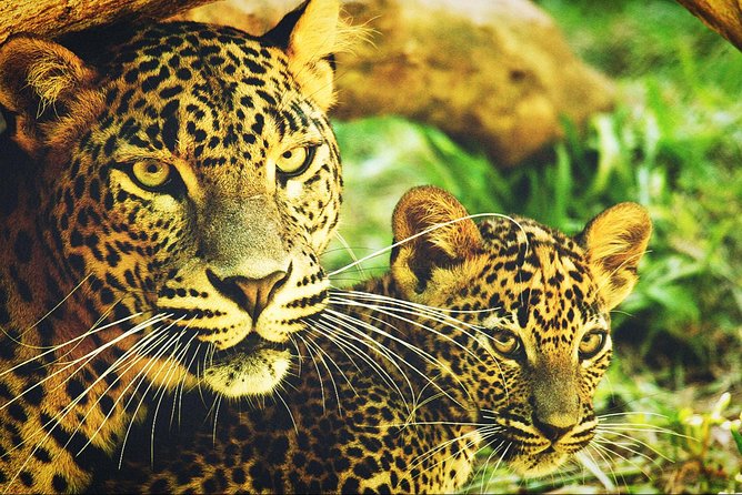 All in one Sri lanka 7nights 8 days for couple price - Colombo: Using the Capital to Set Your Bearings