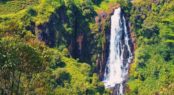 All in one Sri lanka 7nights 8 days for couple price - Kandy: Culture Time Without the Stress