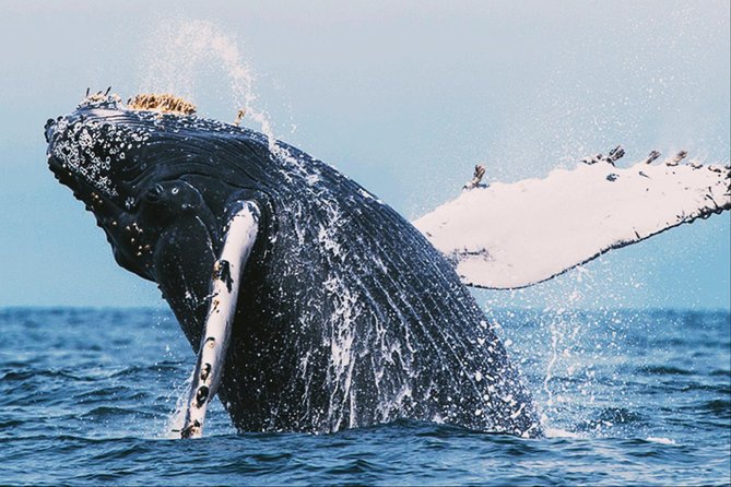 All in one Sri lanka 7nights 8 days for couple price - Price and What $720 Buys a Couple