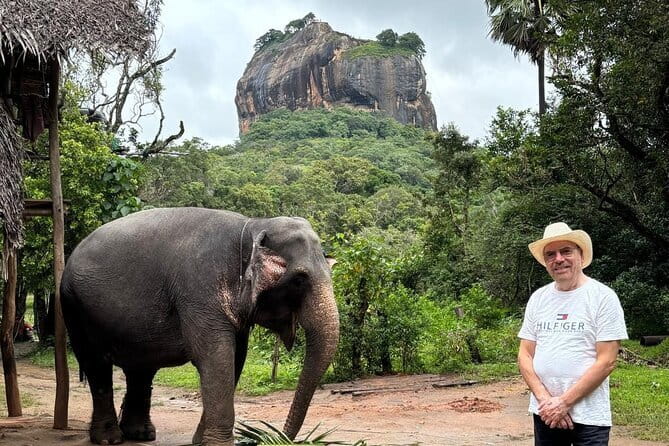 All Inclusive 5-Days Highlights of Sri Lanka - Udawalawe National Park: elephants, and why this stop is the payoff
