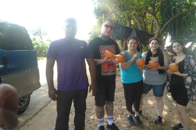 All inclusive Private Day tour Sigiriya, Dambulla & traditional village tour - Village safari in a jungle farmer house: cooking, cart rides, and a lake boat