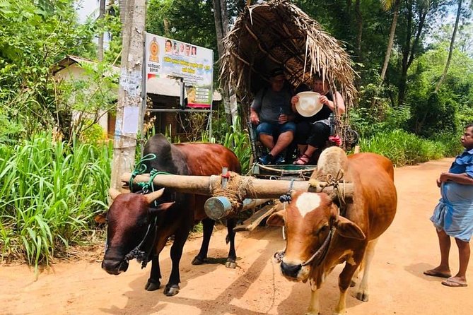 All inclusive Private Day tour Sigiriya, Dambulla & traditional village tour - Private vehicle, English chauffeur guide: flexibility is the real luxury