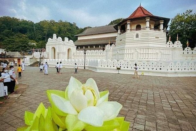 All-Inclusive Private tour in Sri Lankan Island 9 Day HB hotels - Why this 9-day private route feels low-stress
