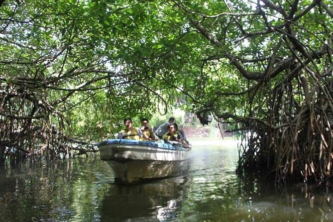 All-Inclusive Private tour in Sri Lankan Island 9 Day HB hotels - Day 1: Airport arrival, Negombo fish market, and lagoon time