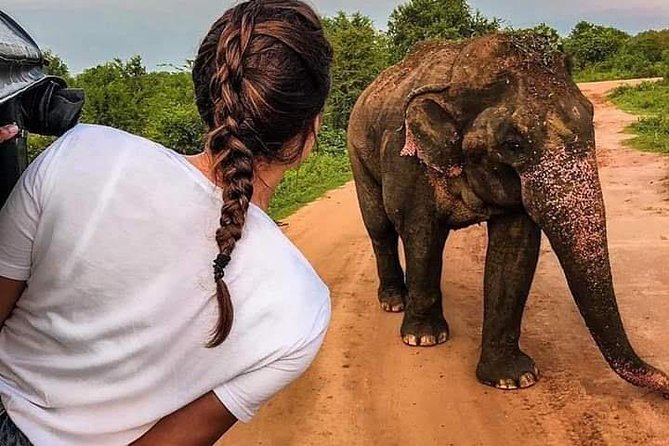 Best Of Sri lanka Tour (06 Days 05 Nights) - Kandy- N.Eliya -Bentota-Colombo - Key things that make this tour work