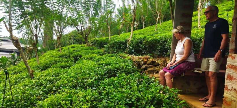 Ceylon Tea Experience from Colombo Port Passenger Terminal - Key highlights you’ll actually care about