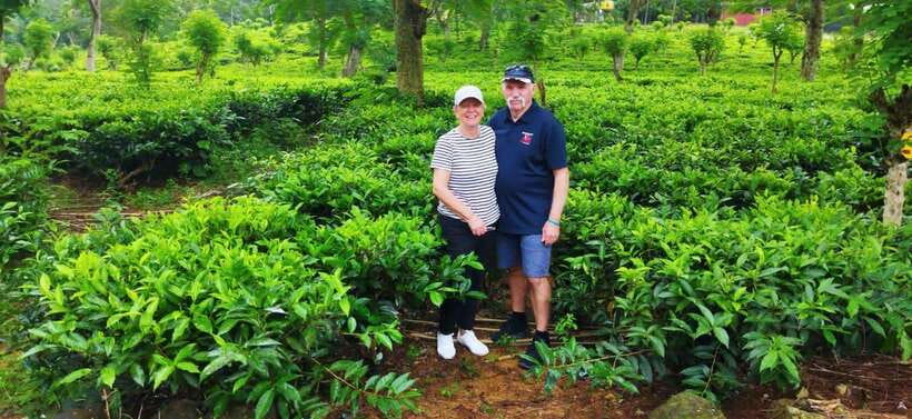 Ceylon Tea Experience from Colombo Port Passenger Terminal - Rayigam Tea Factory: the best bet for hands-on tea learning