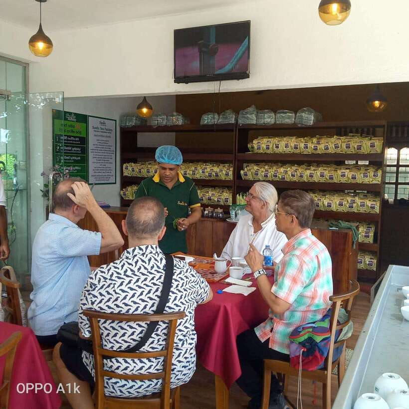 Ceylon Tea Experience from Colombo Port Passenger Terminal - Tea tasting: plan for it, but don’t bank on it
