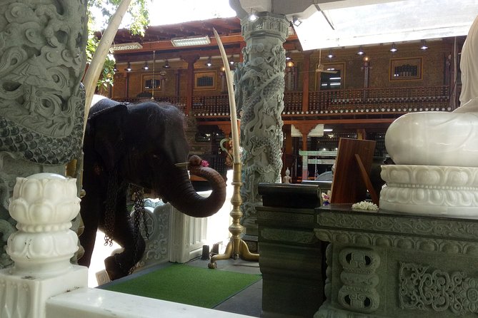 Colombo City Day Tour - The End-of-Day Shopping Stop: Use It for Practical Souvenirs