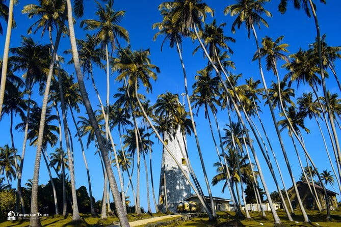 Colombo City Tour By Tuk Tuk (Include Lunch)Morning & Evening - Kayman’s Gate Belltower and the Fort rail hub feeling