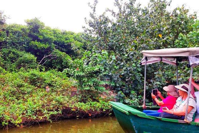 Colombo City Tour (small group with pickup from Cruise ship) - Price and Value: Does 100 USD Make Sense for a Cruise Shore Day?