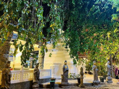 Colombo City Tour with Entry Tickets & Hotel Pickup - Colombo National Museum: The Best “Orientation” Stop in the Day
