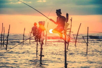 Colombo-Galle Fort, Boat Safari, Turtles, Amazing Group Tour - Kosgoda Sea Turtle Conservation: the touch-and-release moment