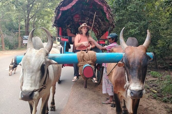 Colombo , Negombo to Trincomalee Transfer and Safari - Stop 2: Habarana 4x4 Safari Where the Route Can Change