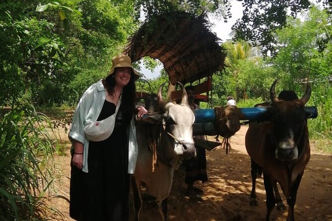 Colombo , Negombo to Trincomalee Transfer and Safari - Stop 1: Sigiriya Village Life by Bullock Cart and Canoe
