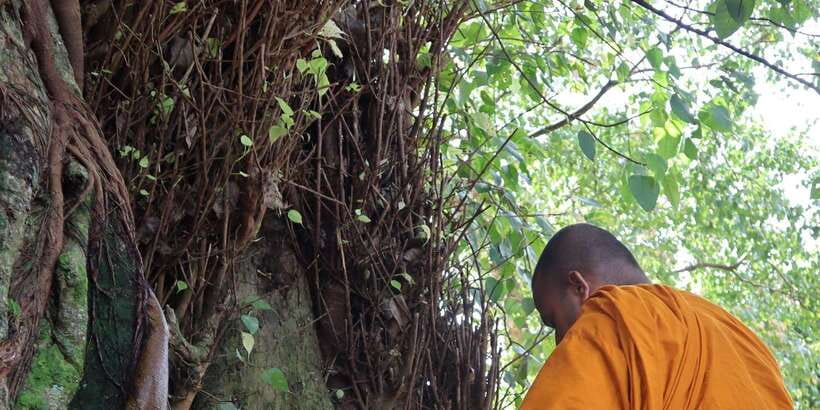 Colombo Port Shore Excursions Colombo City & Kalaniya Temple - Key things to know before you go