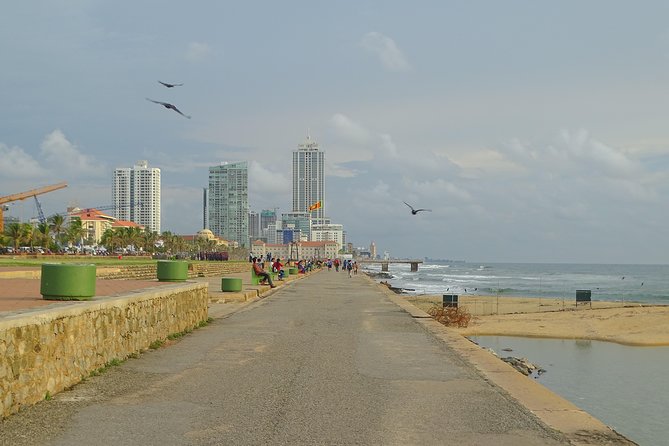 Colombo Shore Excursion from Cruise Port – Private Small Group - Meet at the Sri Lanka Ports Authority building, then ride in AC comfort