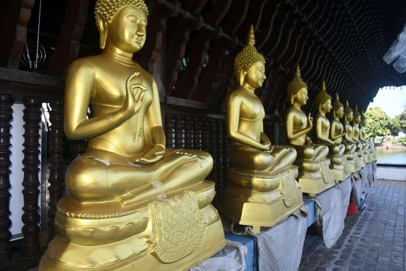 Colombo Shore Excursion, History Legacy and hidden gems - Sri Kailawasanatan Swami Temple to Gangaramaya Temple: See Daily Life, Not Just Buildings