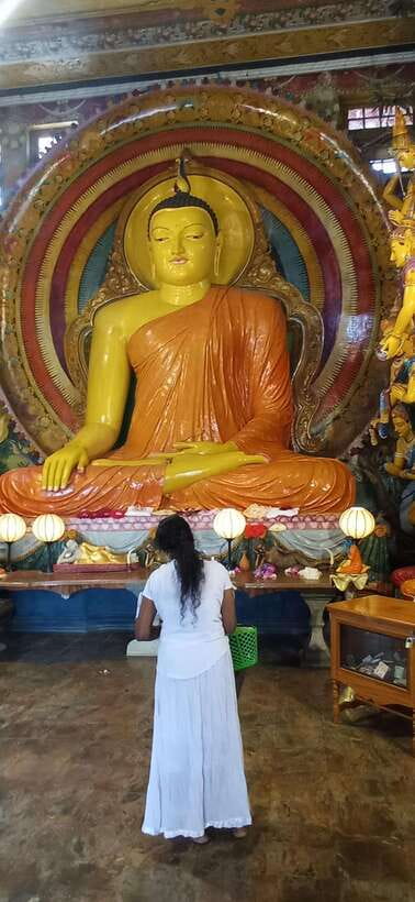 Colombo Sightseeing Private Tour by Tuk Tuk MorningOREvening - A midday food and/or sunset break that stops the tour fatigue