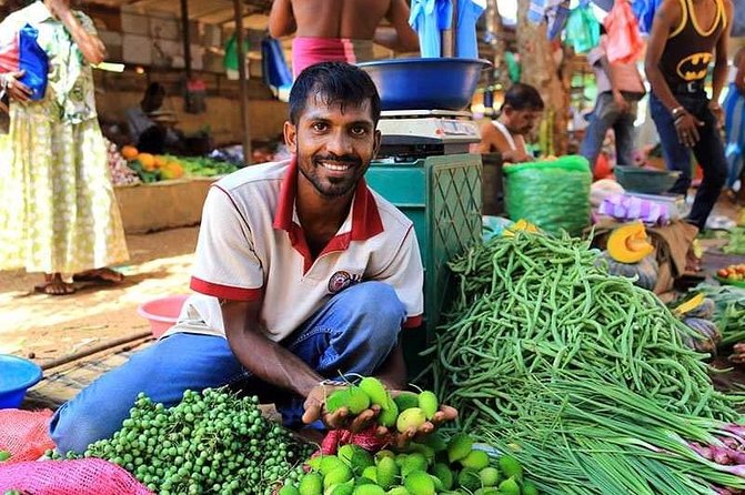 Colombo STREET Food with private guide city tour(All - included ) - Key highlights at a glance