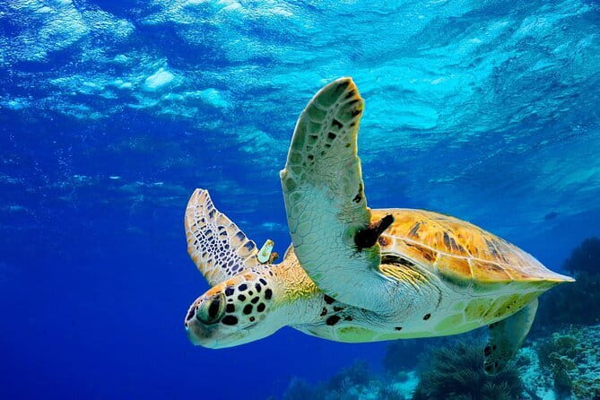 Colombo to Galle All Inclusive Private Day Tour - Key Things I Think You’ll Notice