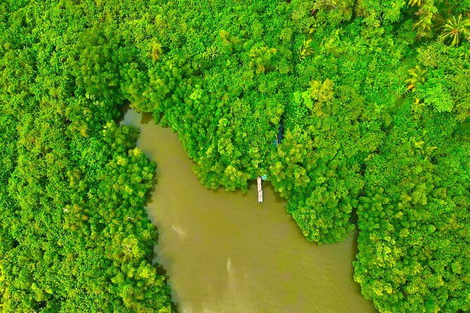 Colombo to Galle All Inclusive Private Day Tour - Madu River Safari by Nilwala: Mangroves, Islands, and Temple Stops